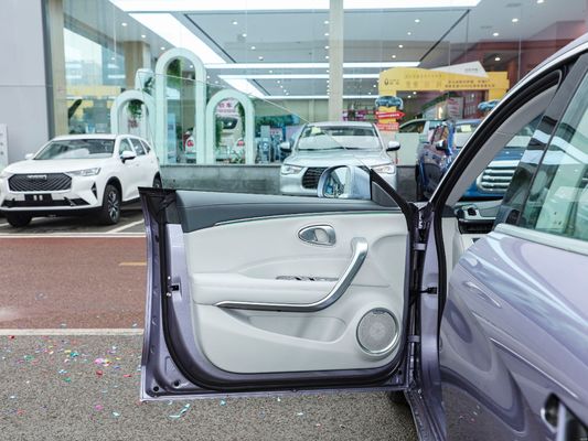 2024 versión de largo alcance 500 km interior conducción de lujo suave Ora Good Cat Mini Ev coche eléctrico