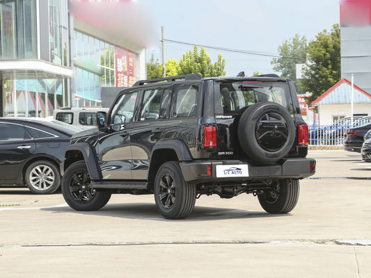 2024 Tank 300 Cross-Country 2.0T Turbo Suv de gasolina con un par máximo Nm de 300-400Nm