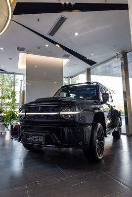 Máxima potencia Ps 150-200Ps El mejor tanque de vehículo personal 300 para aventuras fuera de carretera