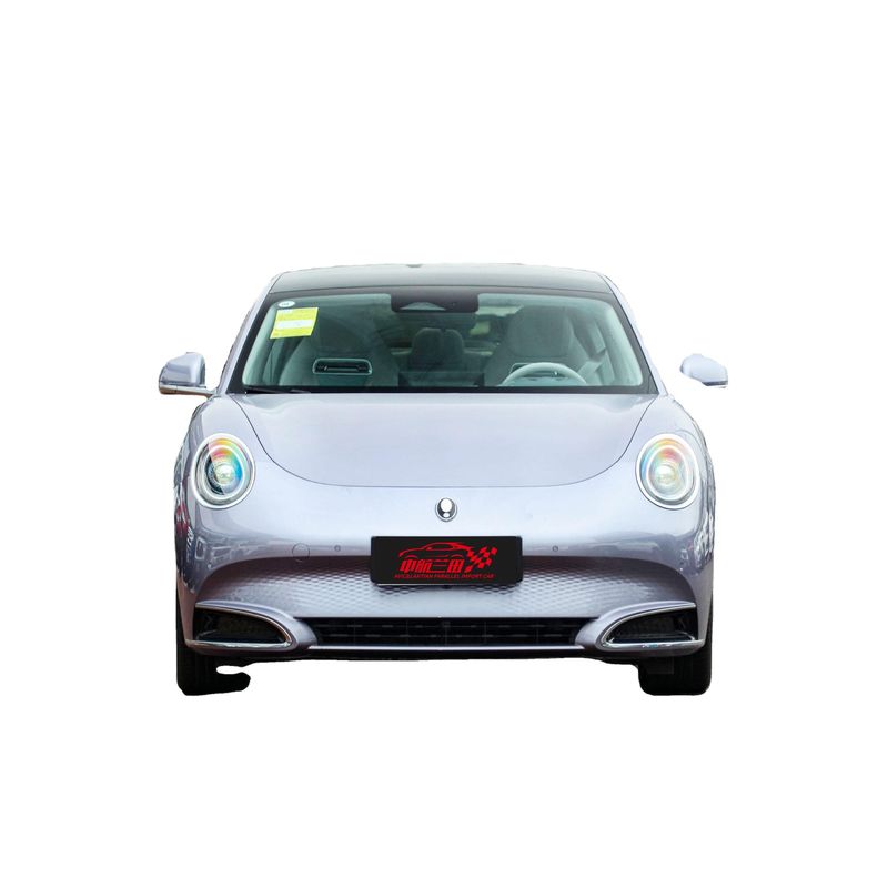 2024 versión de largo alcance 500 km interior conducción de lujo suave Ora Good Cat Mini Ev coche eléctrico